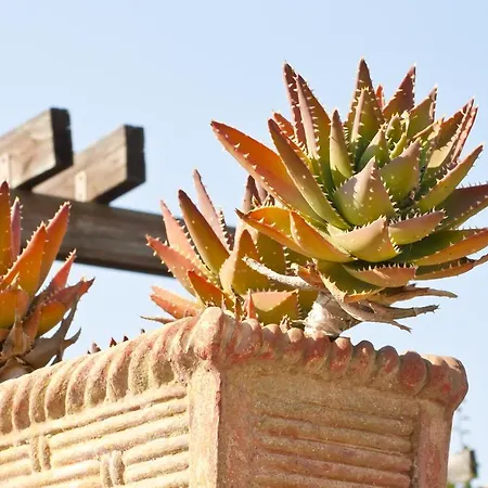 Holiday home Salento Living Seaside Villaggio Resta
